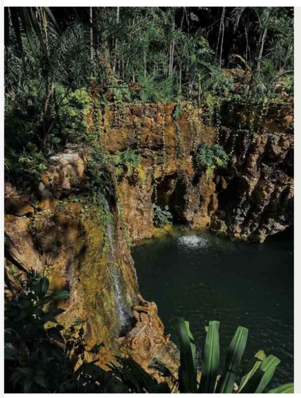 Mayan jungle retreat Puerto Morelos — yoga Mexico 2026