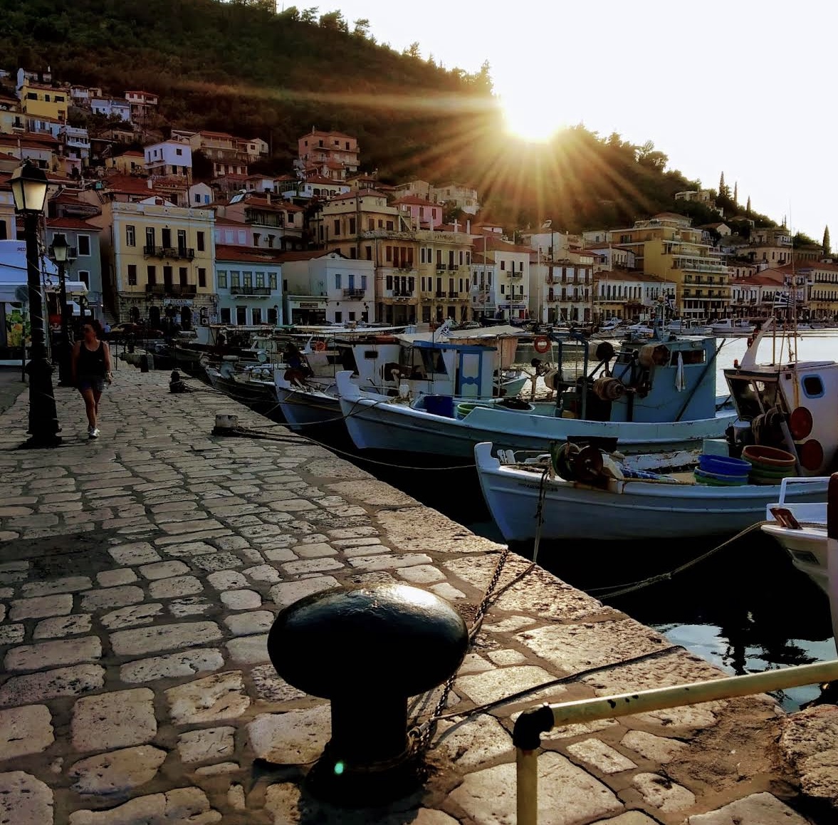 Peloponnese olive groves — yoga retreat Mani Greece