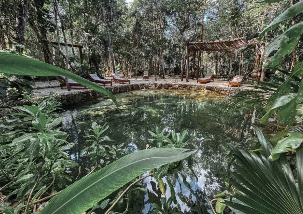 Temazcal ceremony Mexico yoga retreat 2026